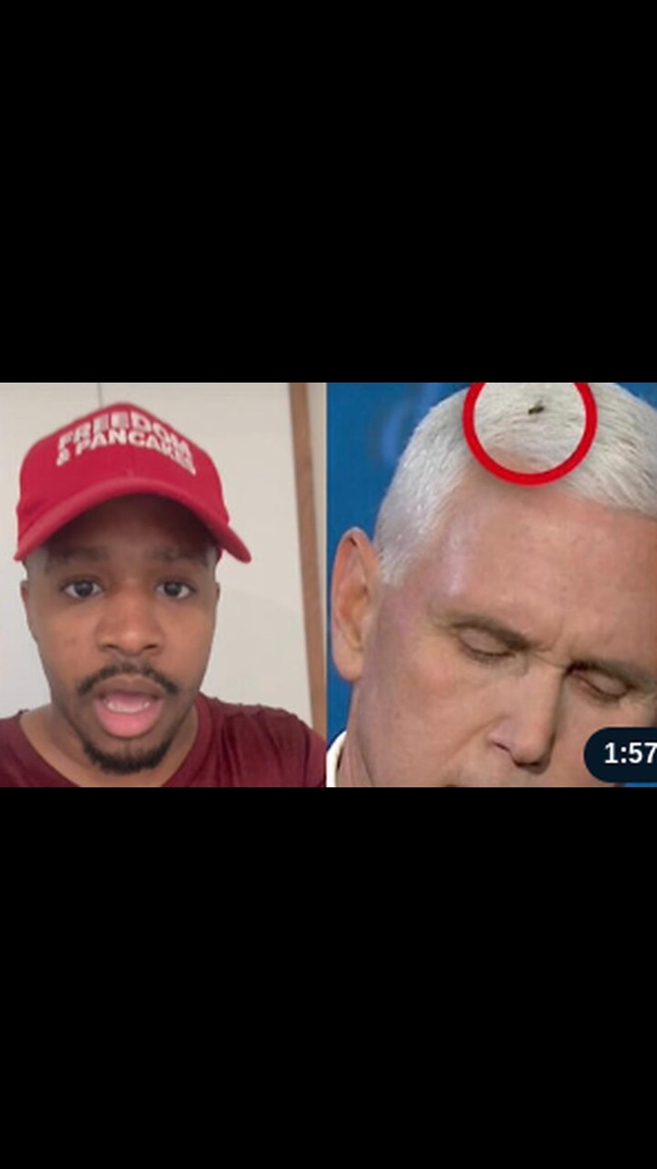 The fly on Mike Pence head tried to warn us - One News Page VIDEO