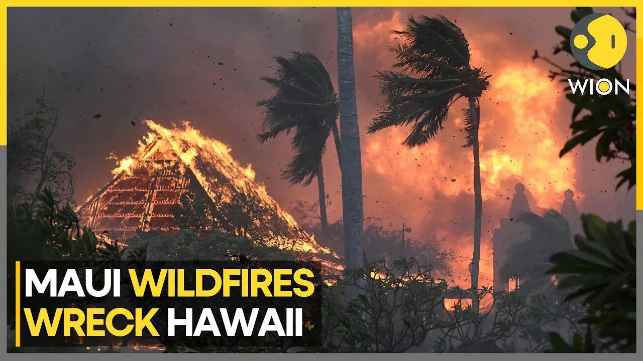 Hawaii scarred by deadly Maui wildfires | Latest World News | English News | WION