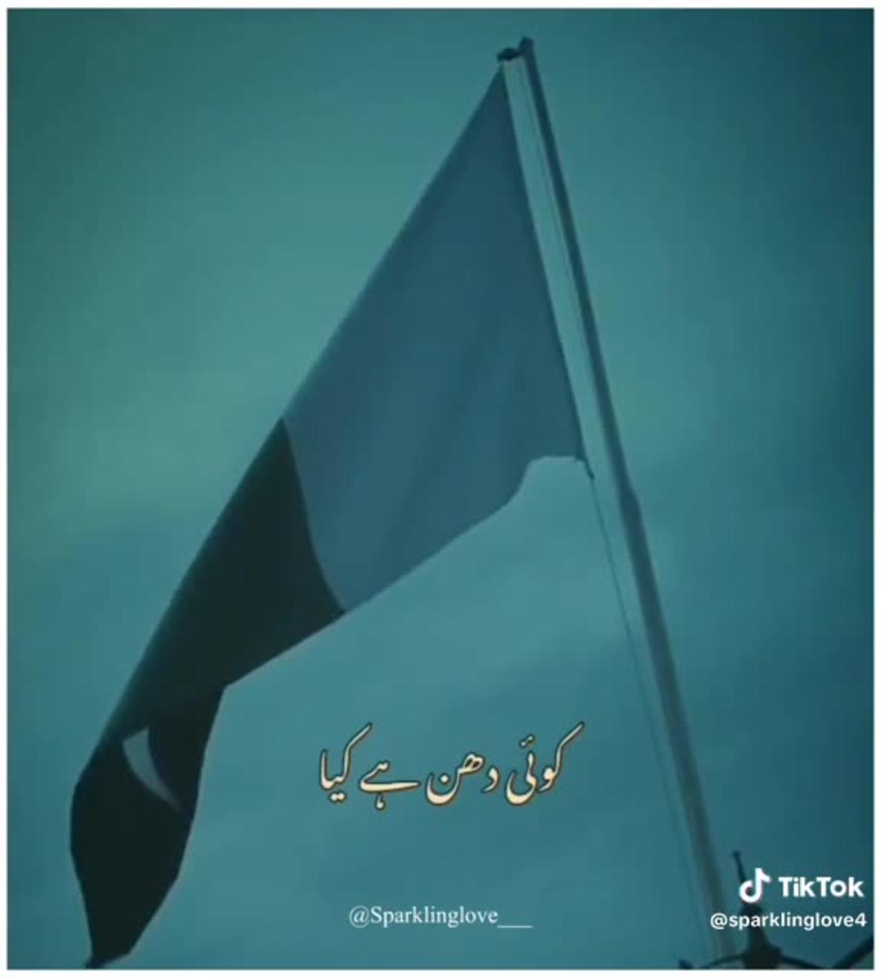 Happy Independence Day | Pakistan Zindabad