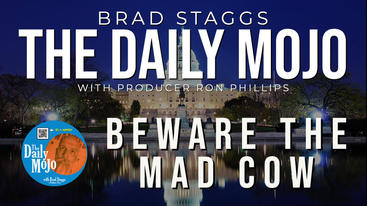 LIVE: Beware The Mad Cow - The Daily Mojo