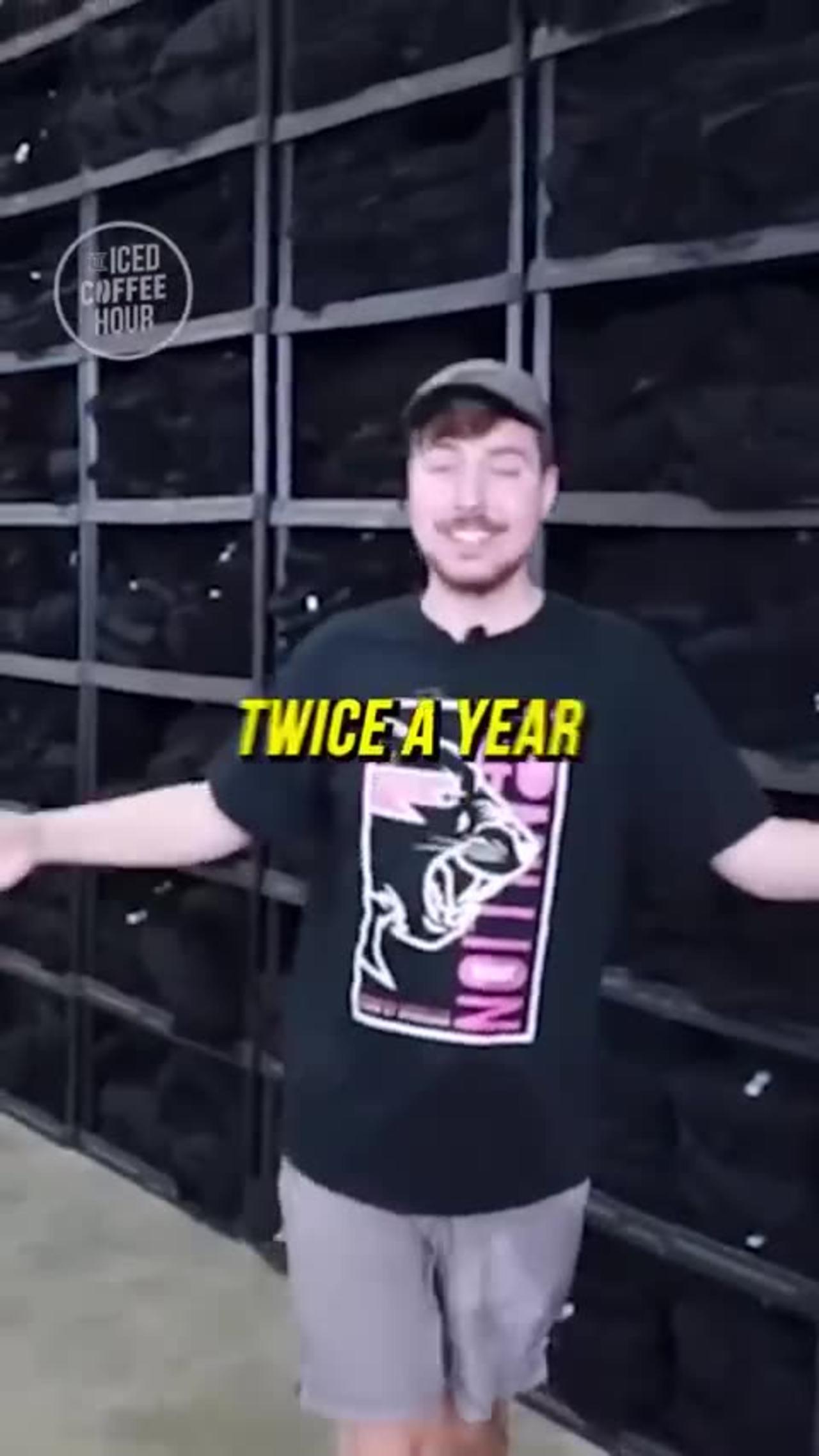 Mr beast reveal his streams One News Page VIDEO