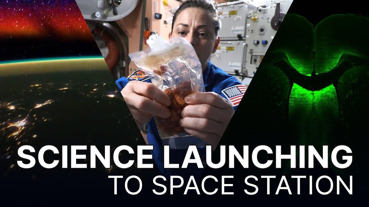 Science on Northrop Grumman's CRS 19 Mission to the Space Station