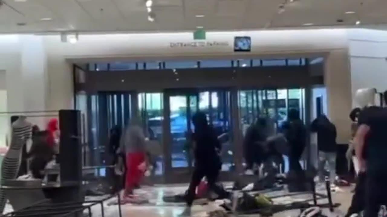 A gang of criminals trashes a Nordstrom store at a mall in California.