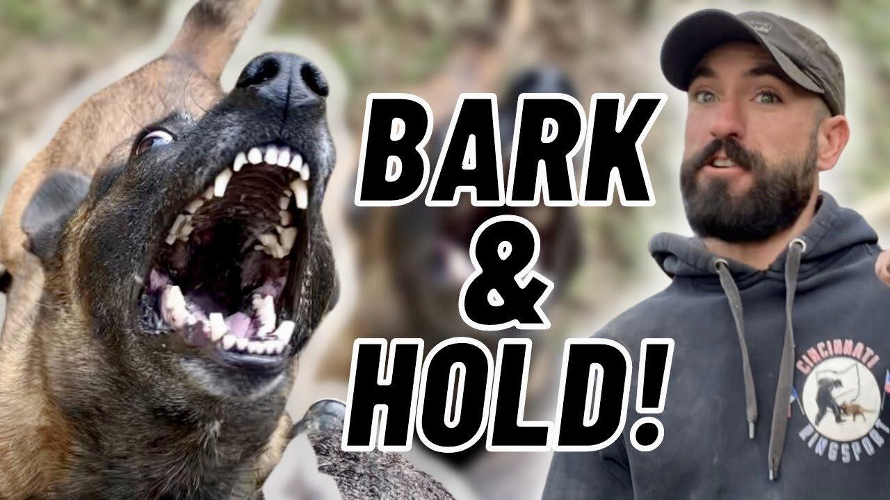EASY Bark & Hold Training W/ NO HELPER! One News Page VIDEO