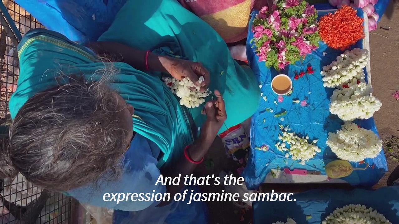 Scent of luxury: India’s jasmine city holds secret of world-renowned perfumes