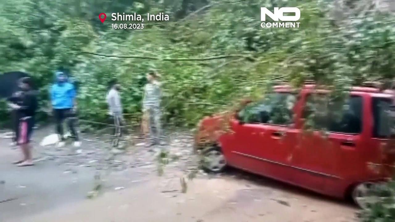 WATCH: Heavy rains cause destruction and death in India's Himalayas