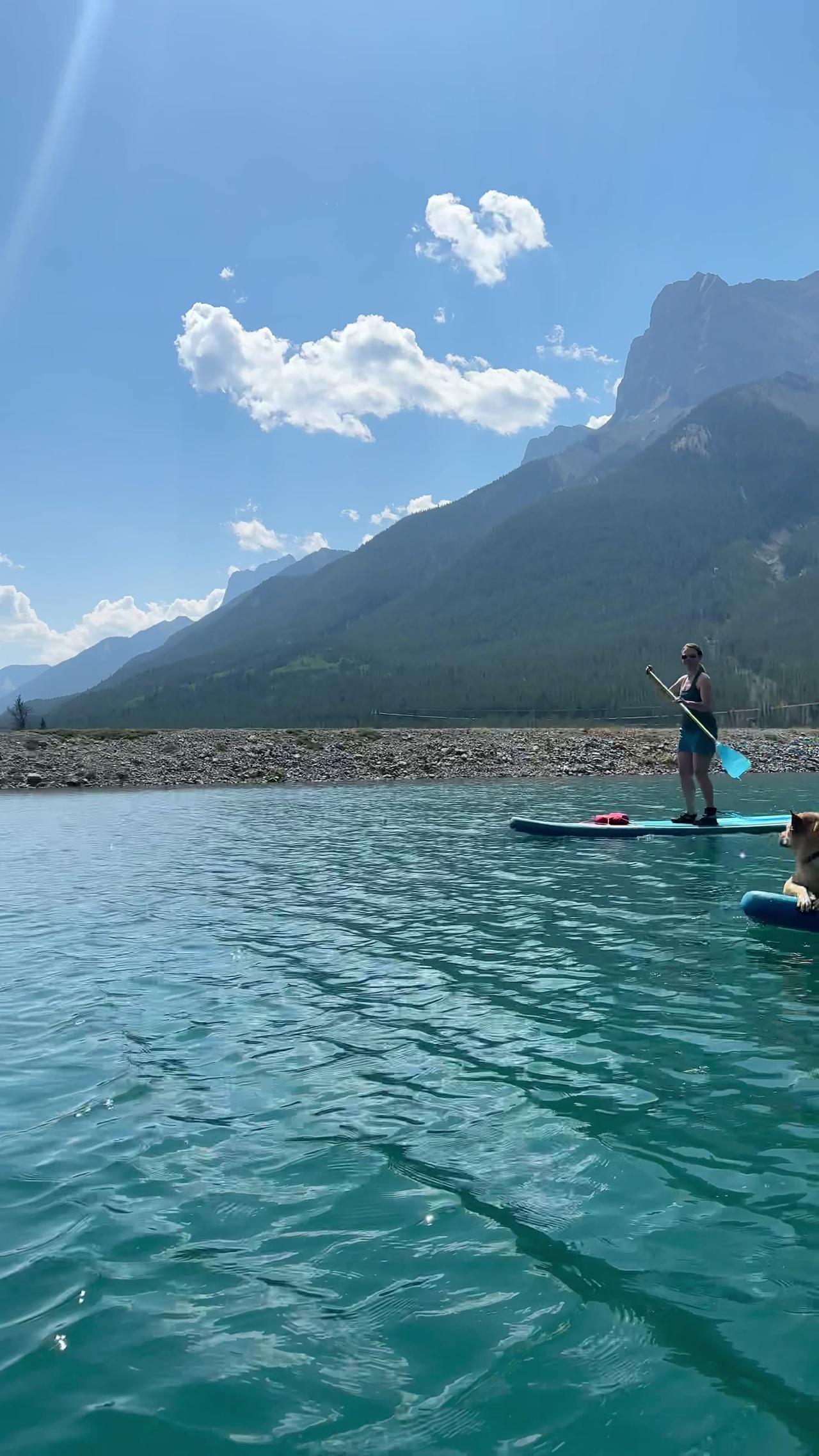 Dog Takes on Stand Up Paddleboarding
