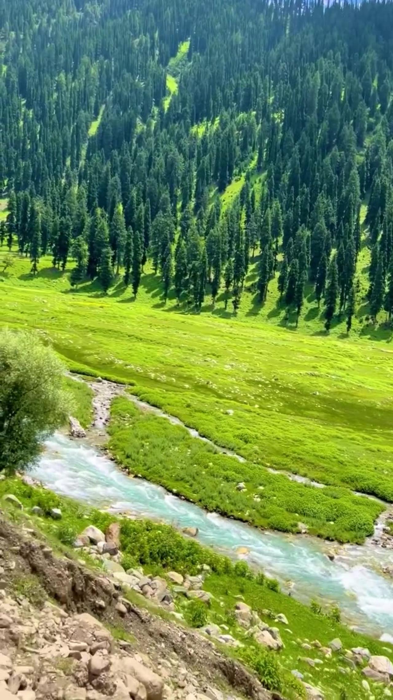 Warwan valley kishtwar a beautiful place