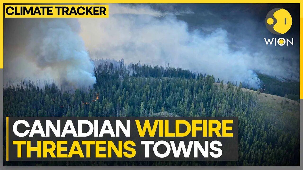 Canada Wildfires: Northwest territories declare emergency | WION Climate Tracker