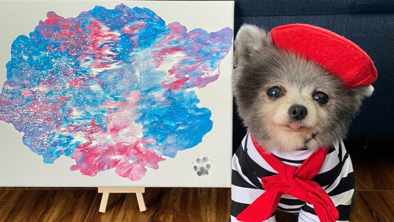 Meet the ‘Pawtastic Picasso’ a Pup That’s Painting to Raise Money for a Life-Saving Operation
