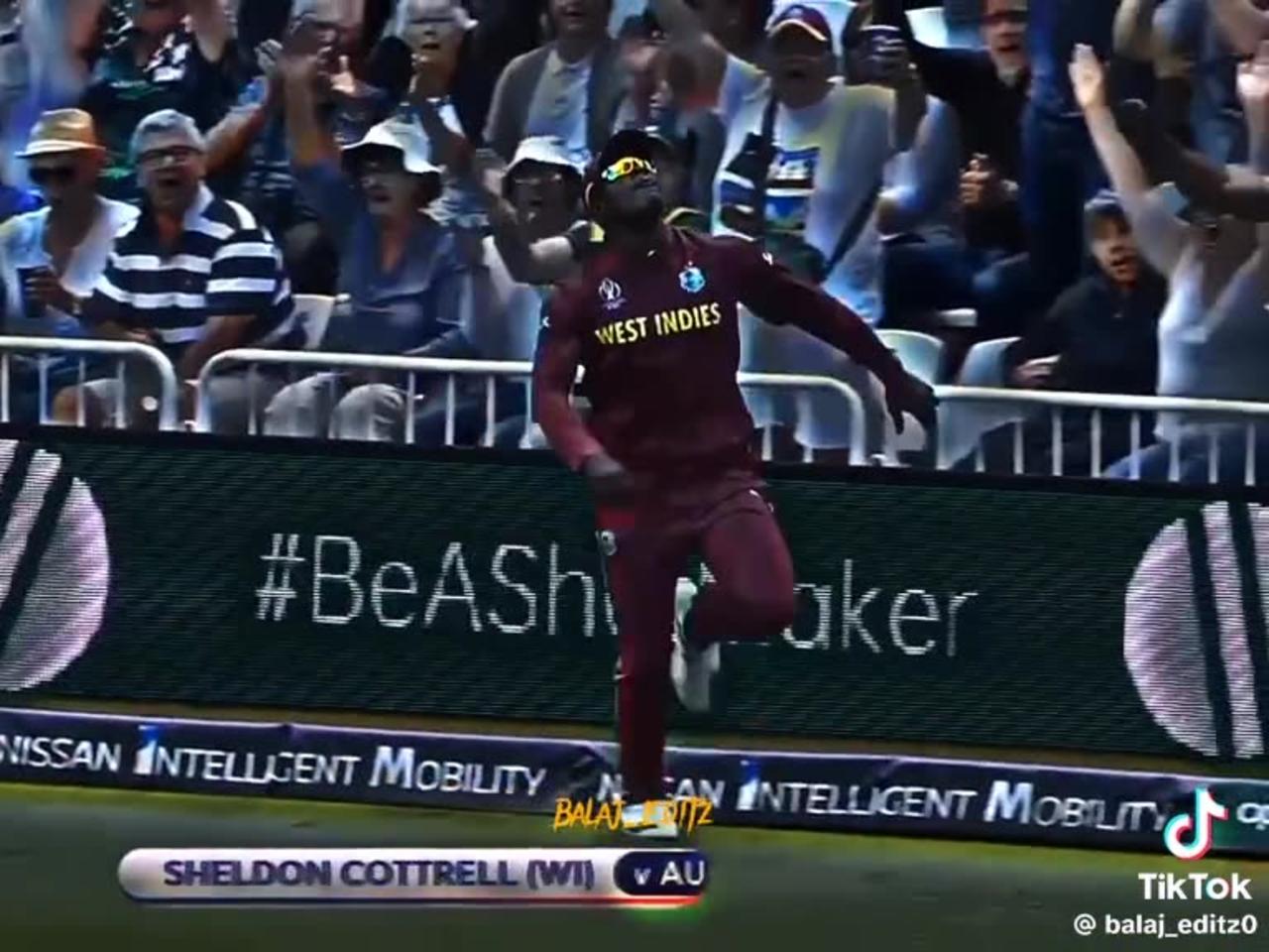 Best Catch's In ICC Man's World Cup 2019 Best Ever Catch's In Cricket