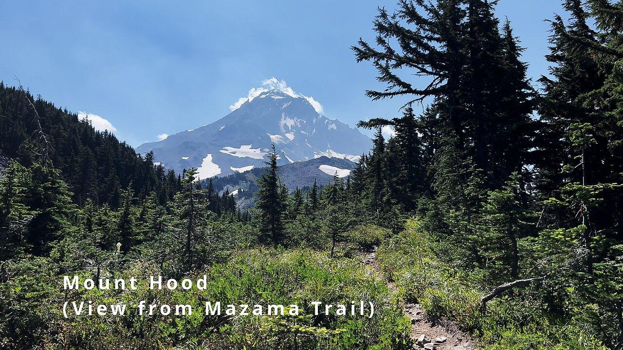 EXPLORING THE EPIC ALPINE ZONE of Mazama Trail in Mount Hood Wilderness! | Timberline | 4K | Oregon