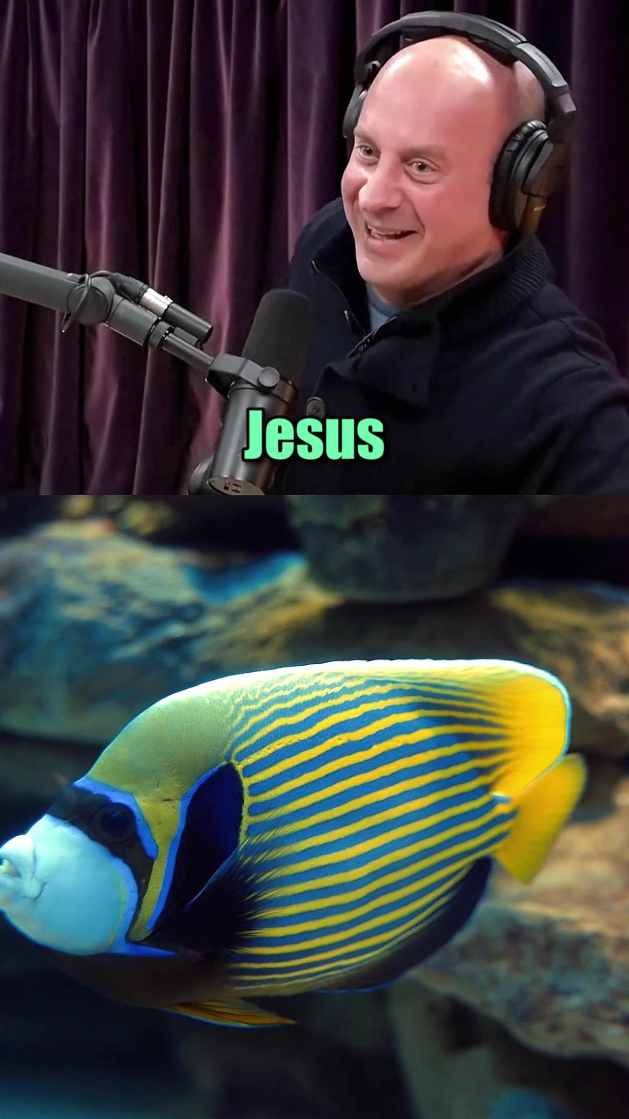 What happens in the ocean stays in the ocean One News Page VIDEO