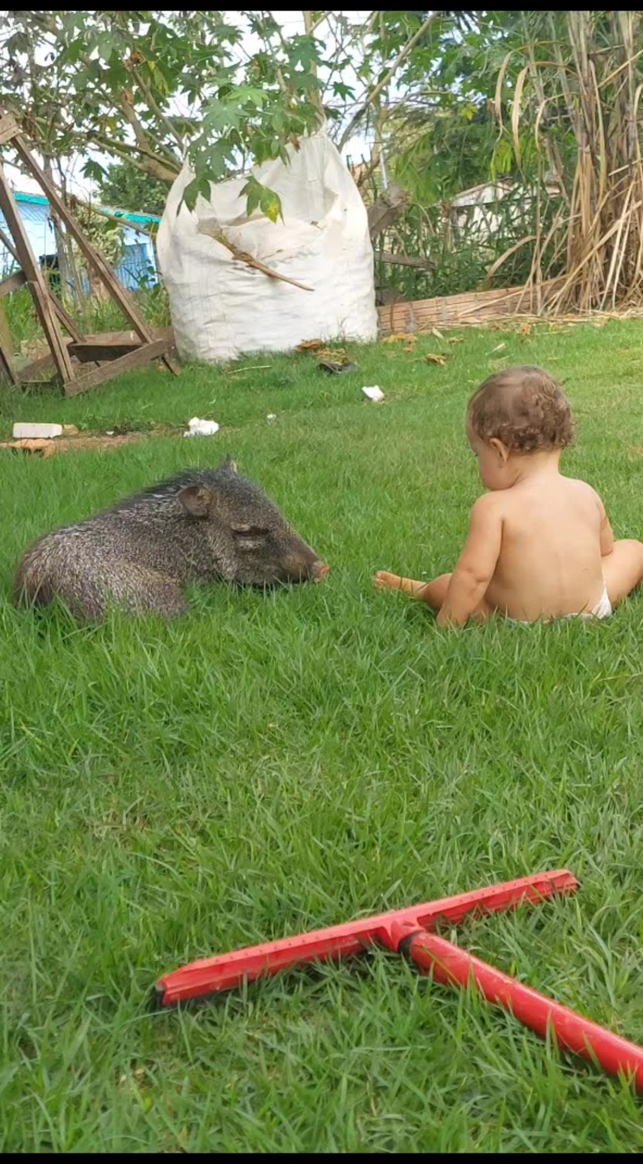 A Kiddo and Piglet's Day Out