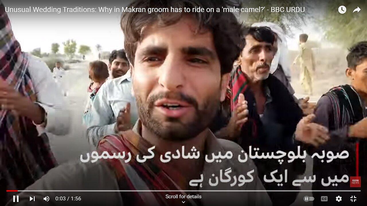 Unusual Wedding Traditions- Why in Makran groom has to ride on a 'male camel-' - BBC URDU