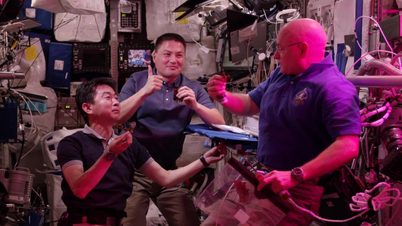 "Cultivating History: First-Ever Lettuce Grown and Eaten in Space 4K"