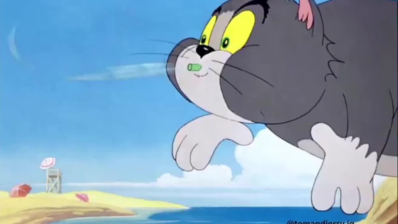 Tom and Jerry | letest video