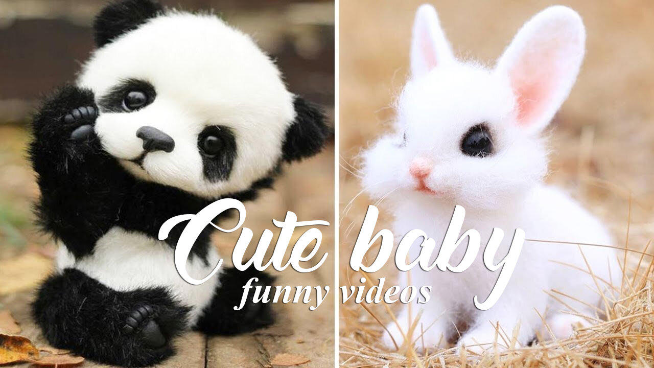 Cute Baby Animals Videos Compilation | Funny and Cute Moment of the Animals