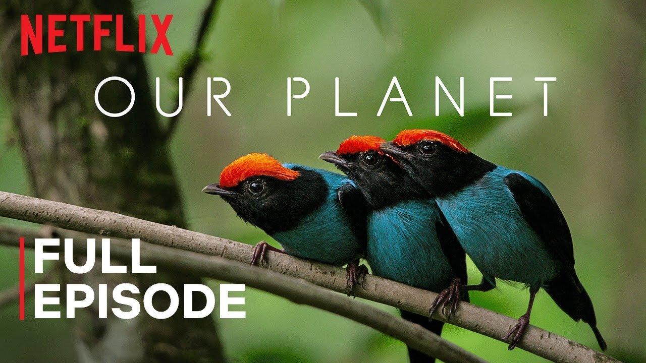Our Planet _ One Planet _ FULL EPISODE _ Netflix