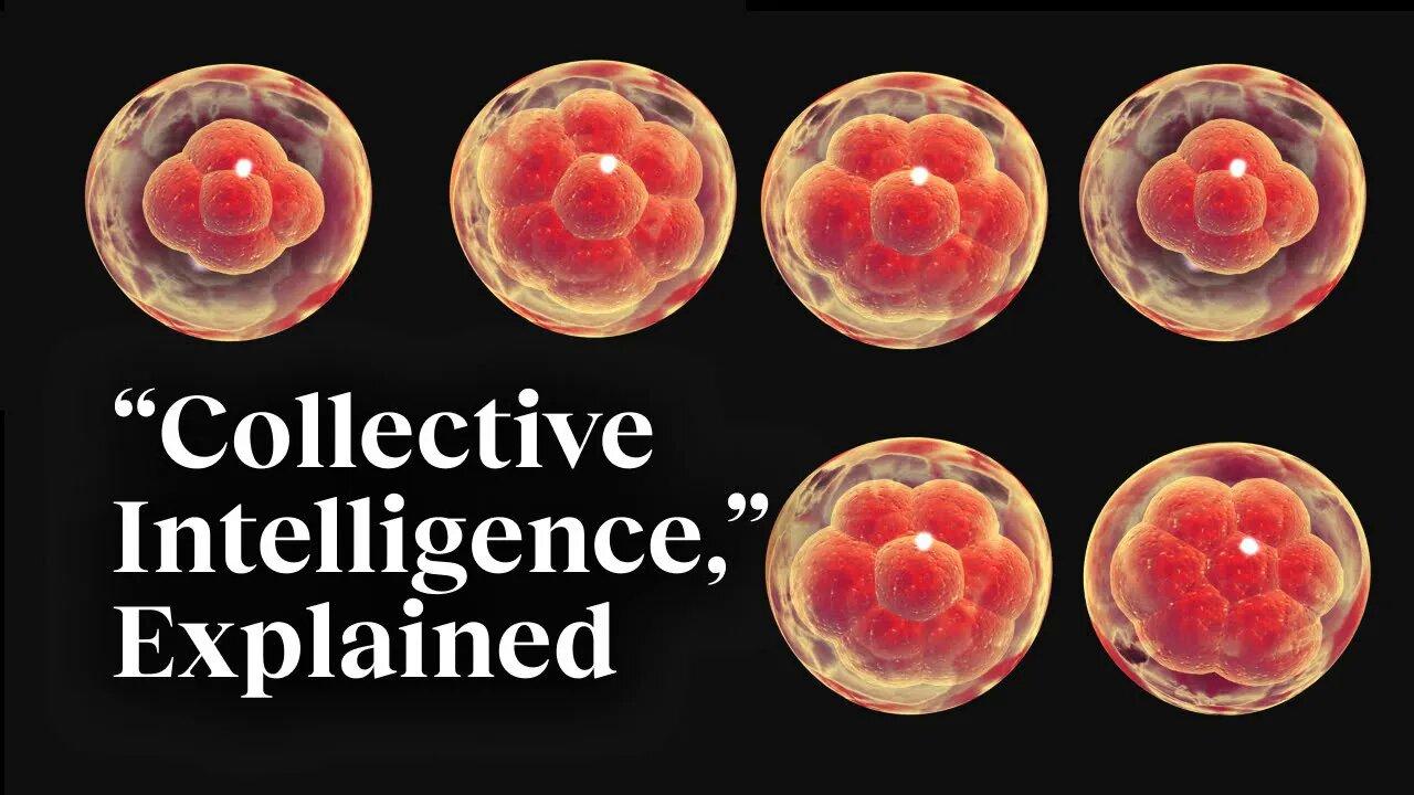 The beauty of collective intelligence, explained by a developmental biologist | Michael Levin