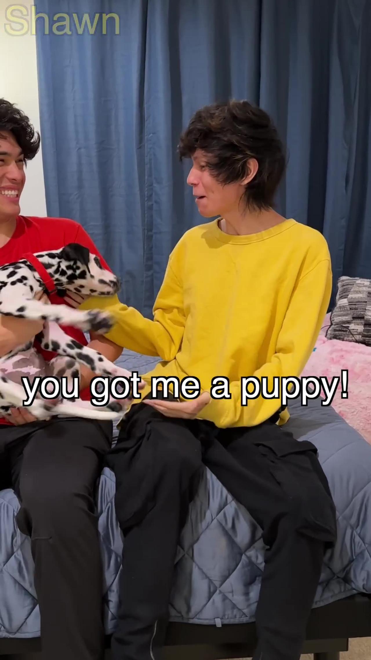 I Bought The World S Rarest Puppy 1080p One News Page Video