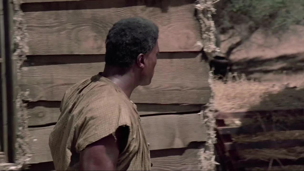 Roots (1977) [5 of 12]