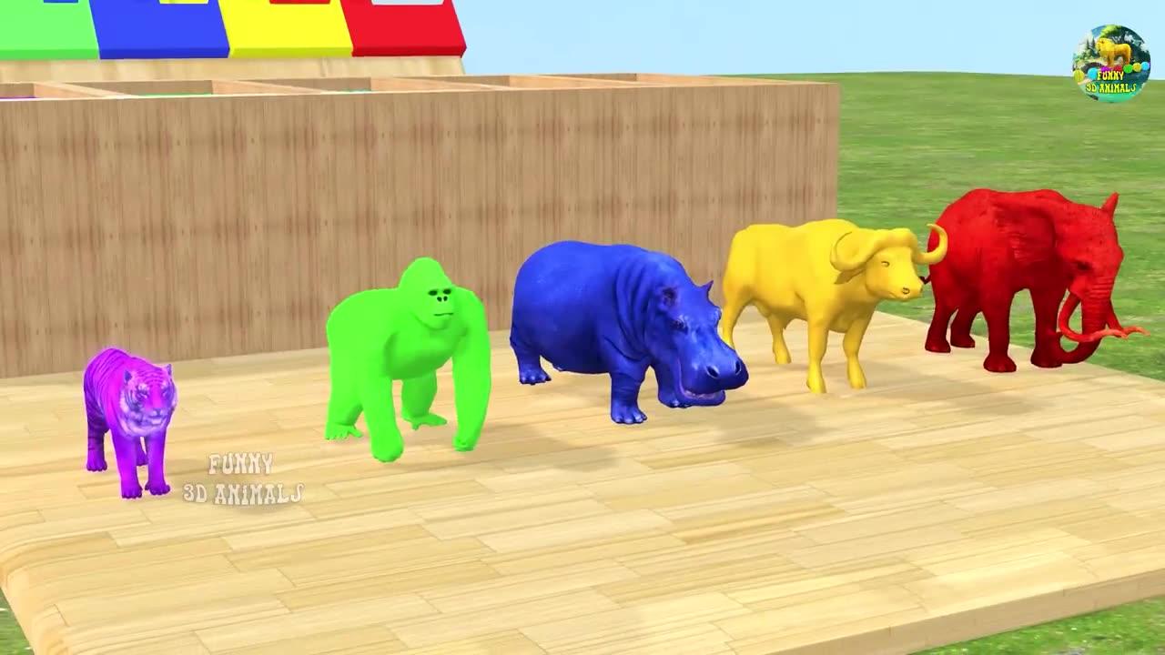 Long Slide Game With Elephant Gorilla Buffalo Hippopotamus Tiger - 3d Animal Game Funny 3d Animals