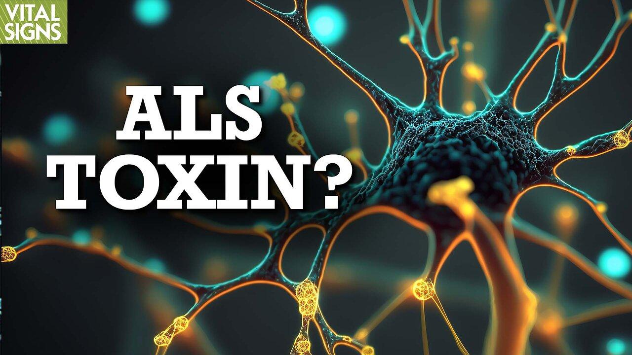How Toxins Could Cause ALS—The Disease Sandra Bullock’s Partner Died From