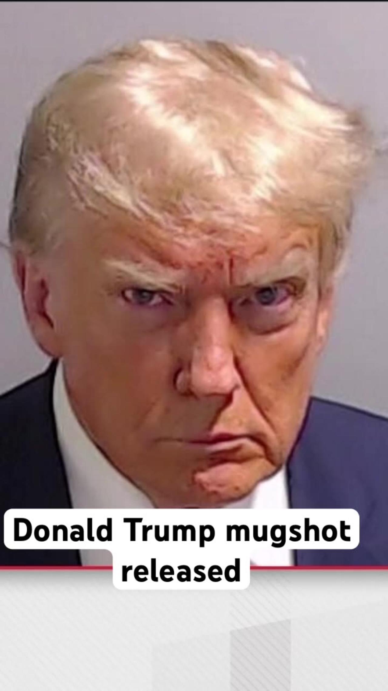 Donald Trump Mugshot Released - One News Page VIDEO