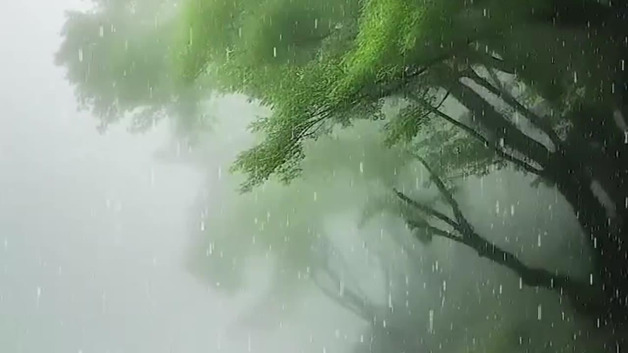 Relaxing Rain Sounds on a Garden w/ Thunder for Sleep & Relaxation |