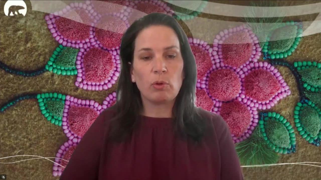 Yellowknife remains under state of emergency One News Page VIDEO