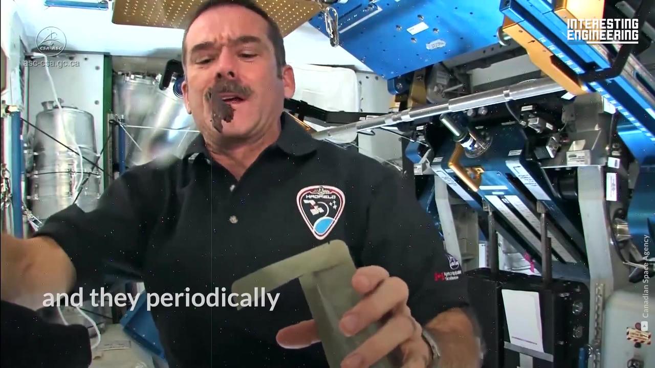 How Do Astronauts Eat and Drink in Space? One News Page VIDEO