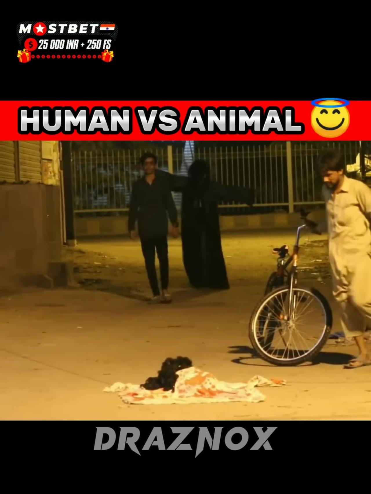 Pov: human vs animal comedy