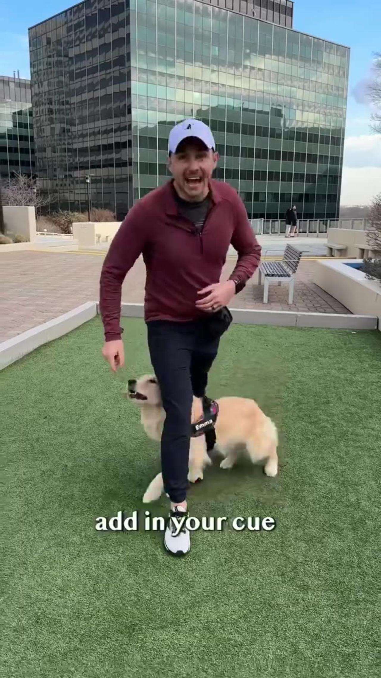 Dog training video so Hard 😱😱