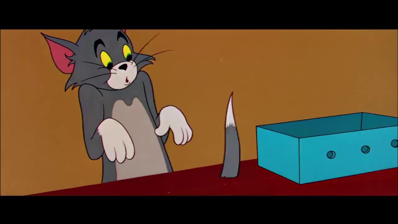 Tom and Jerry funny video