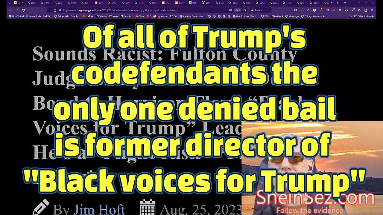 Only Trump's co-defendant denied bail is former director of "Black Voices for Trump"-SheinSez 274