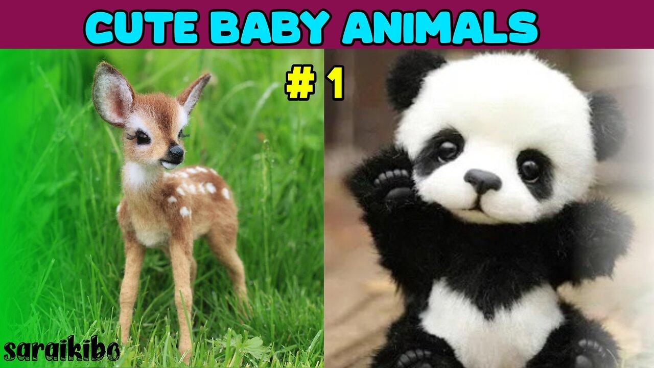 "Ranking the Cutest Baby Animals: Adorable Features and Playful Nature" #animals