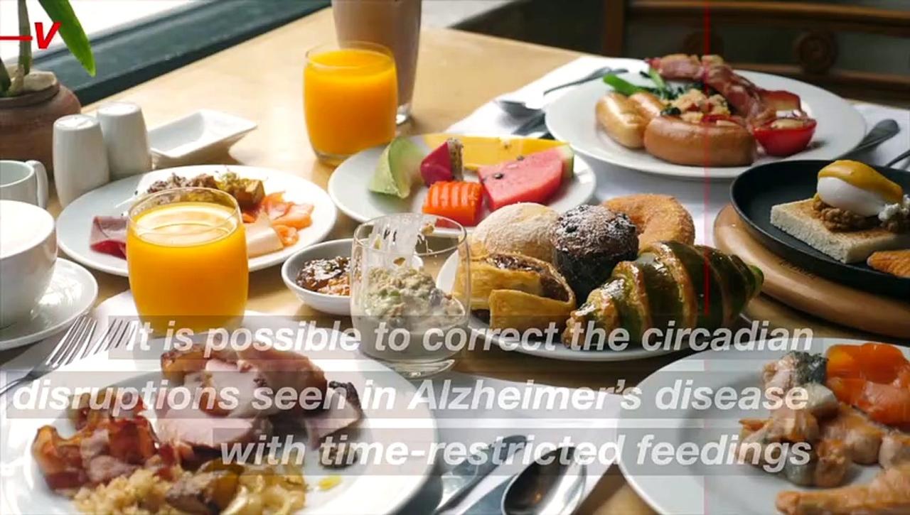 Intermittent Fasting Can Be Key to Slow Alzheimer’s