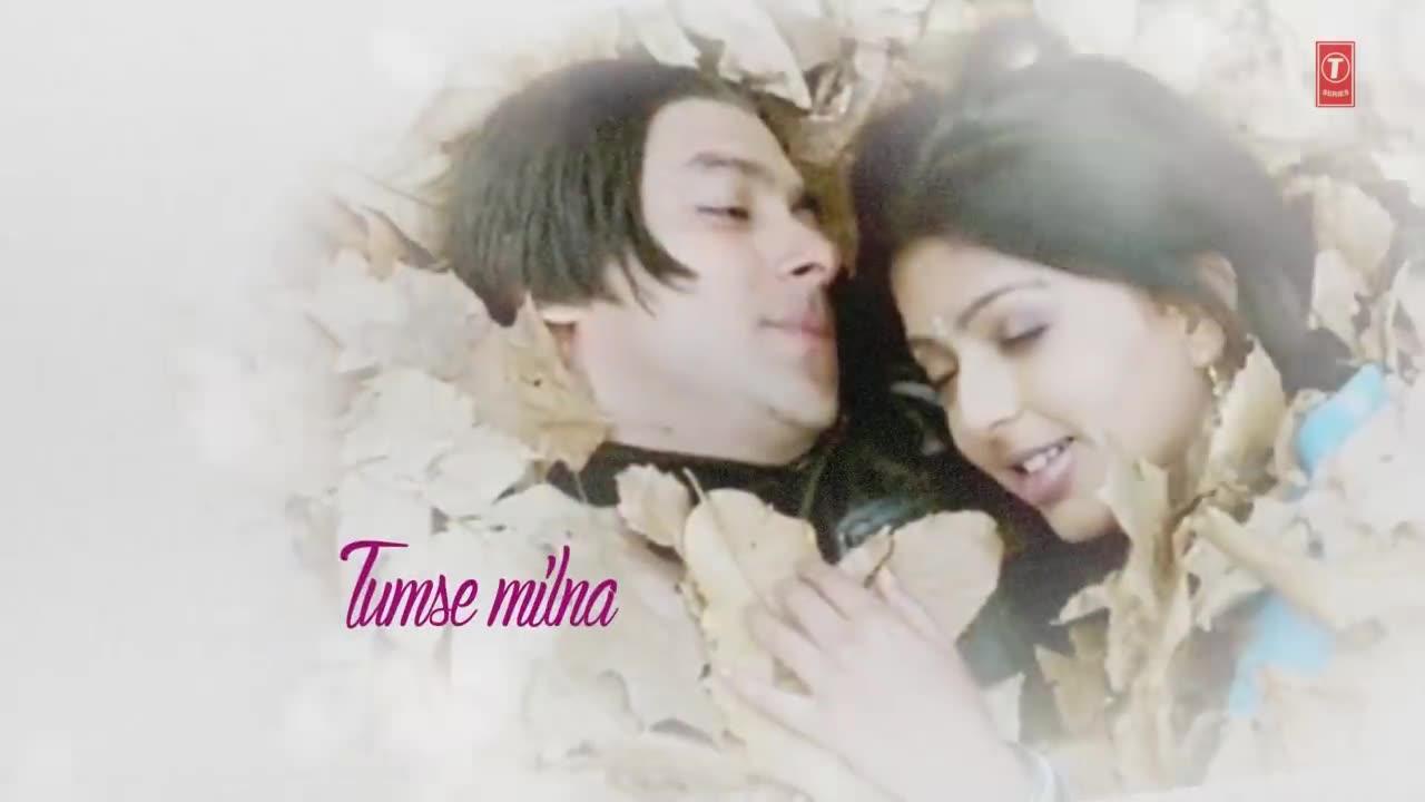 Tumse Milna Lyrical Video - Tere Naam - Himesh Reshammiya - Salman Khan, Bhoomika Chawla