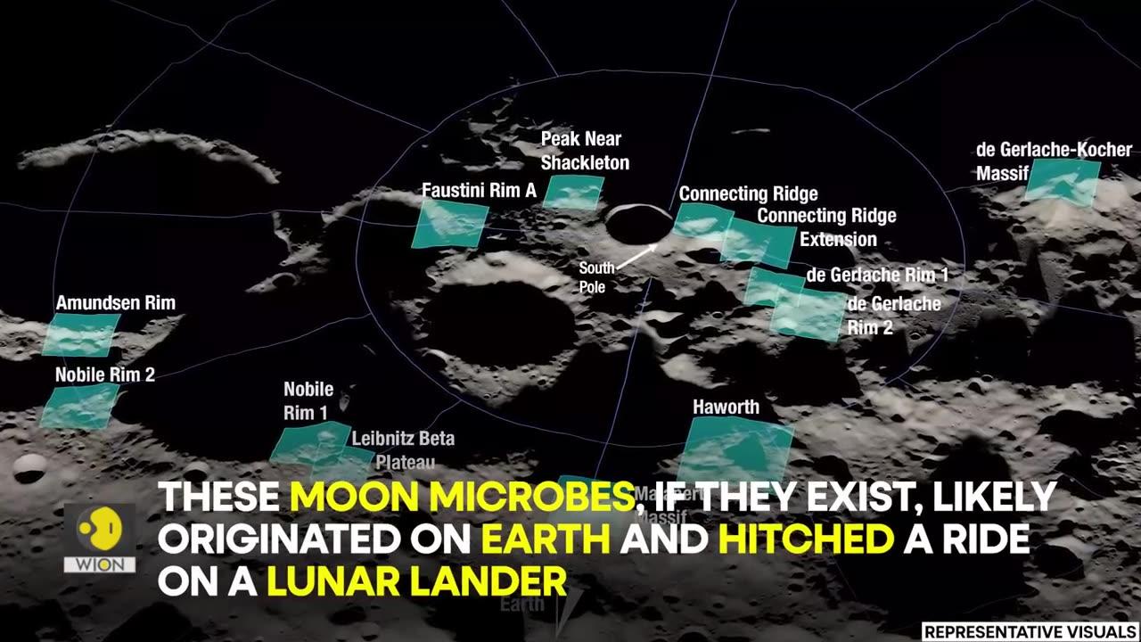 NASA scientist admits that the moon 'might life on it