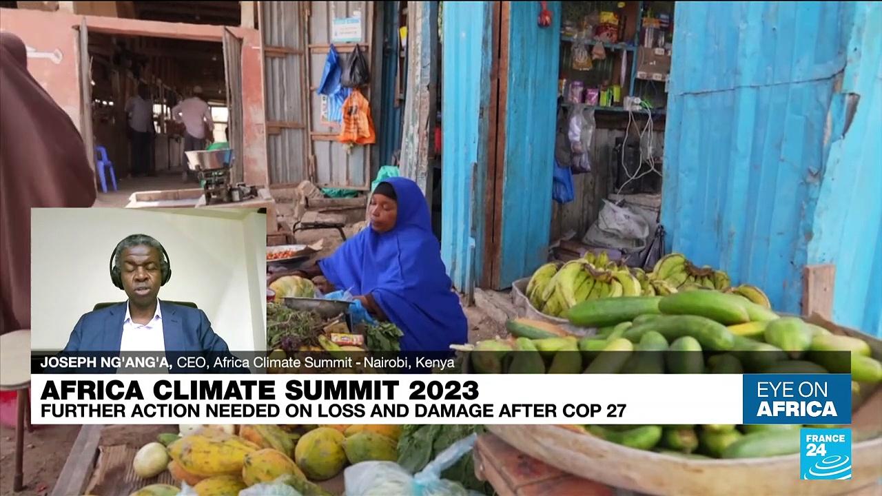 Africa climate summit 2023: A new global financial architecture to help green growth