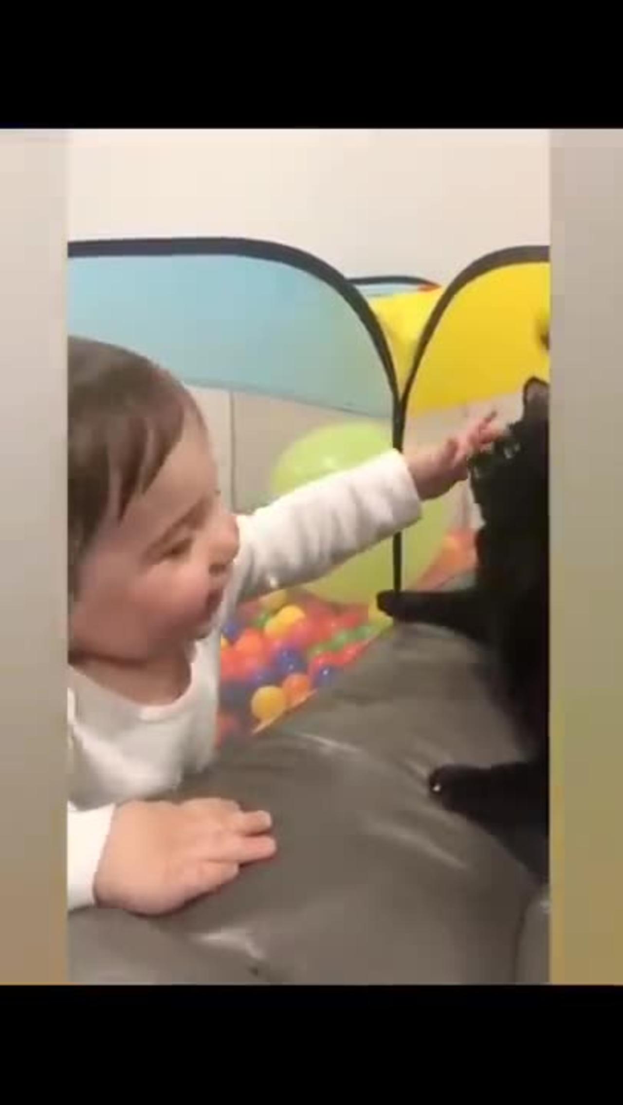 Cute baby playing with animal 🤣funny video