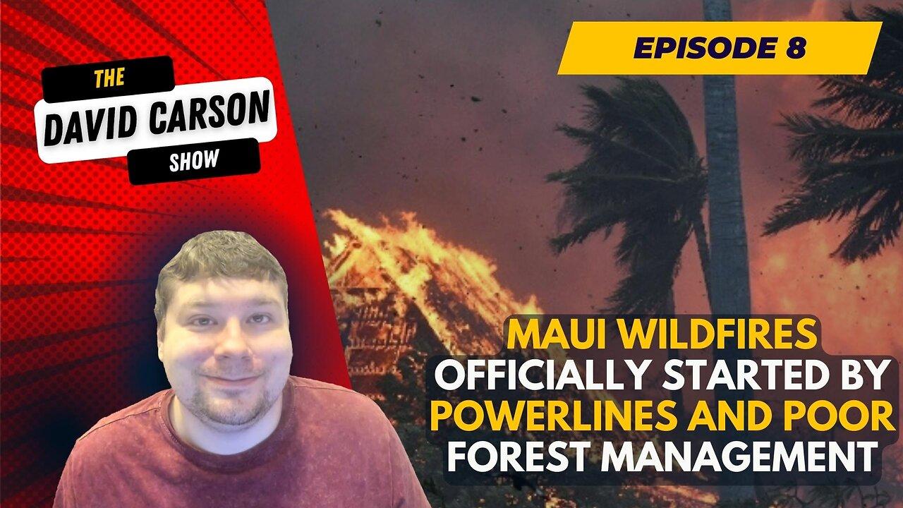 Maui Wildfires Officially Started By Powerlines And Poor Forest Management