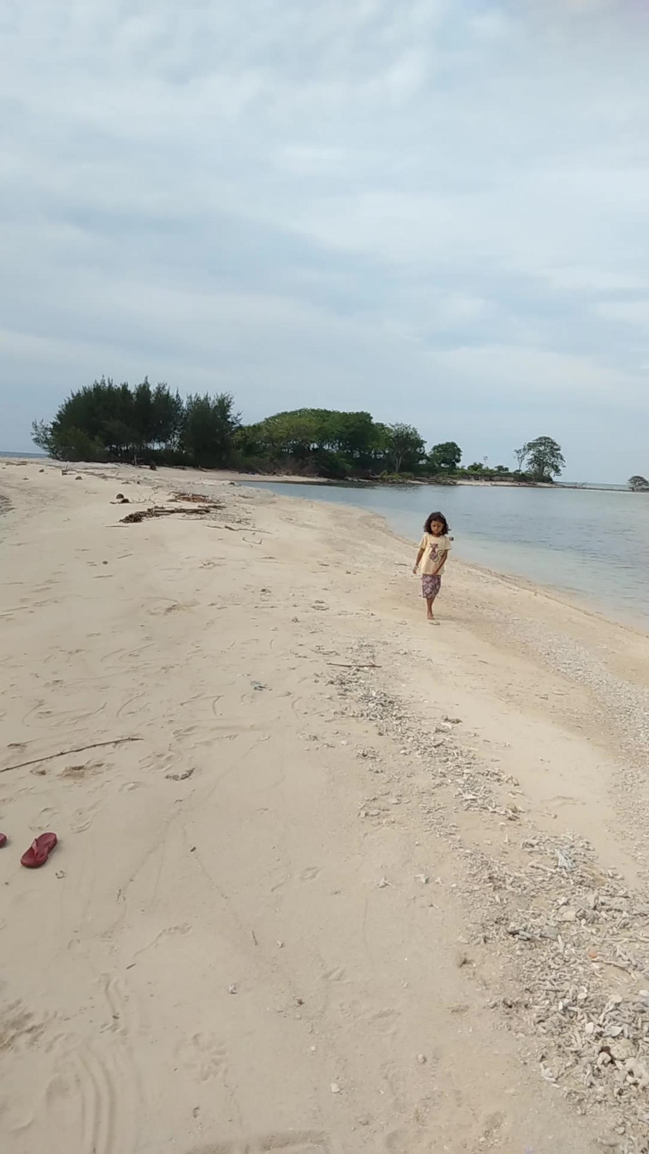 🏝️