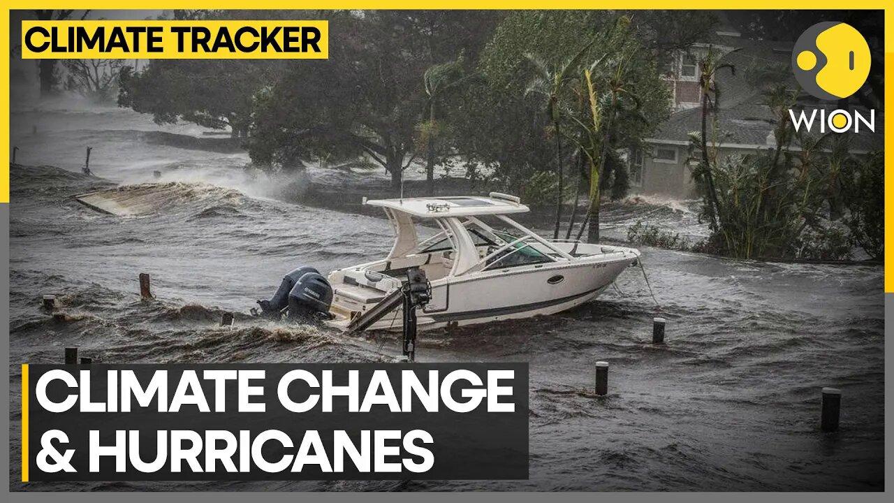 How climate change boosts hurricanes | WION Climate Tracker | Latest World News