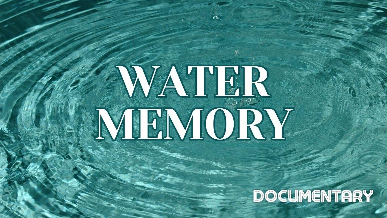 The Michelle Moore Show Special Presentation: 'Water Memory' Aug 31, 2023