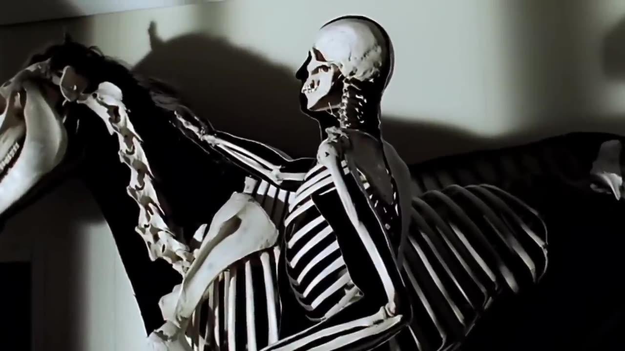 The Chemical Brothers - Hey Boy Hey Girl (Official Music Video)