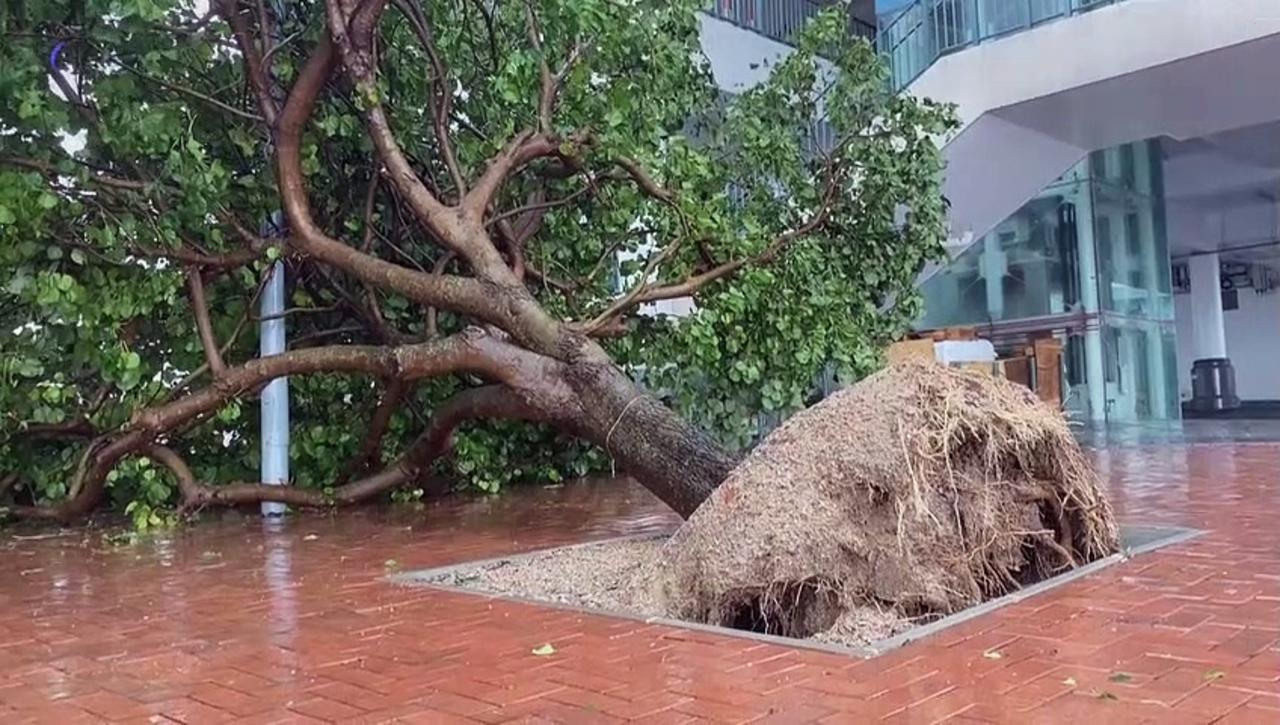 Hong Kong takes in the aftermath of the strongest storm in decades