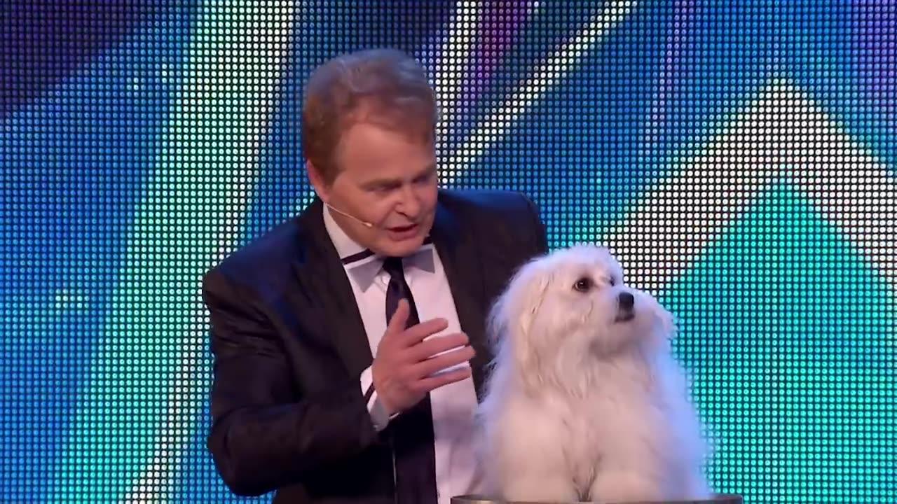 Marc Métral and his talking dog wow the Judges! | Britain's Got Talent Unforgettable Audition❣️
