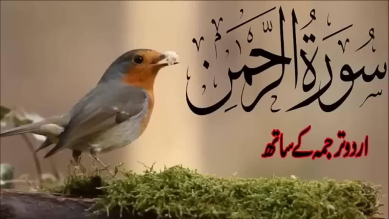 Surah Rahman Urdu Tarjuma k Sath